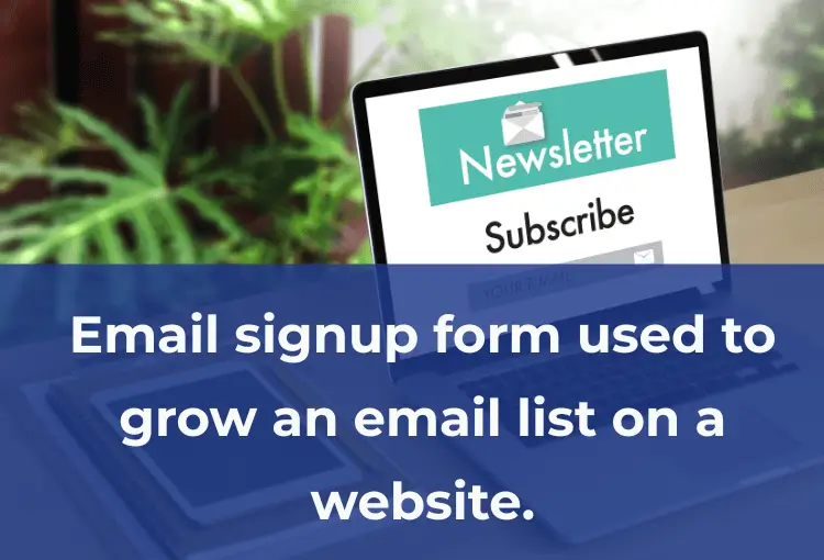 Brevo Grow Your Email List Illustration Simple Brevo email signup form used to grow an email list on a website.